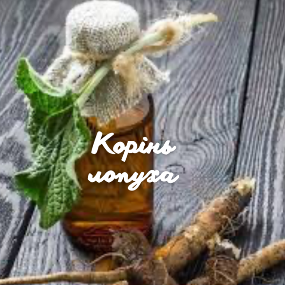 корінь лопуха Олена Ковтонюк допис