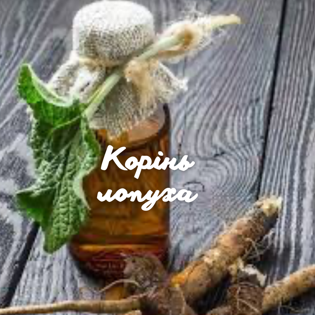 корінь лопуха Олена Ковтонюк допис